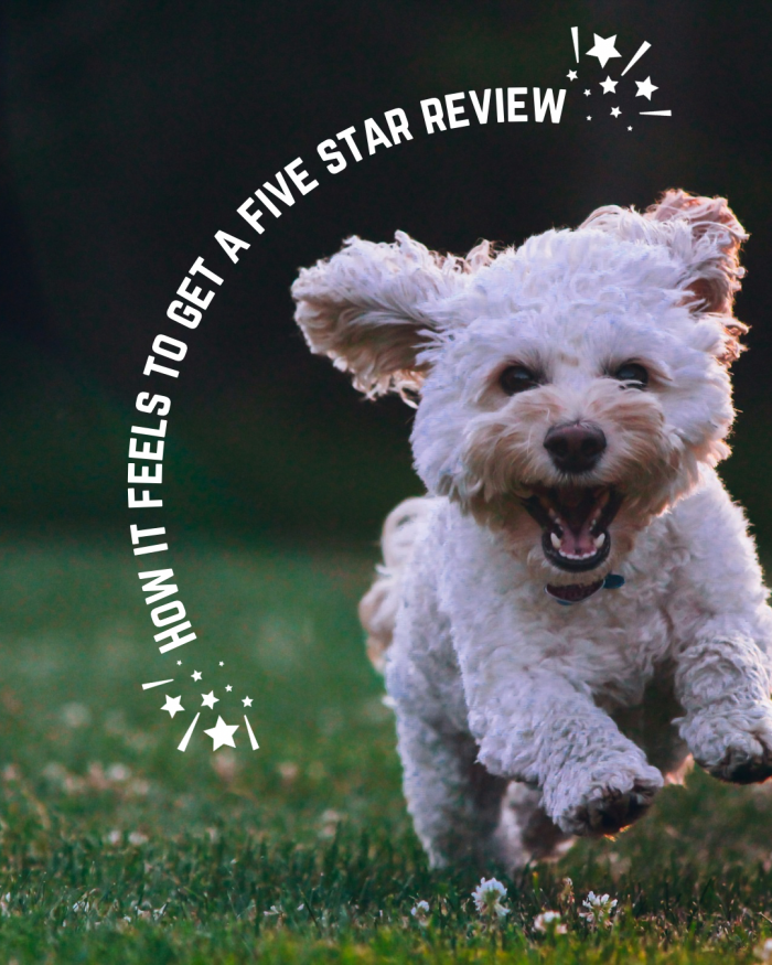 What a Great Review Really Means